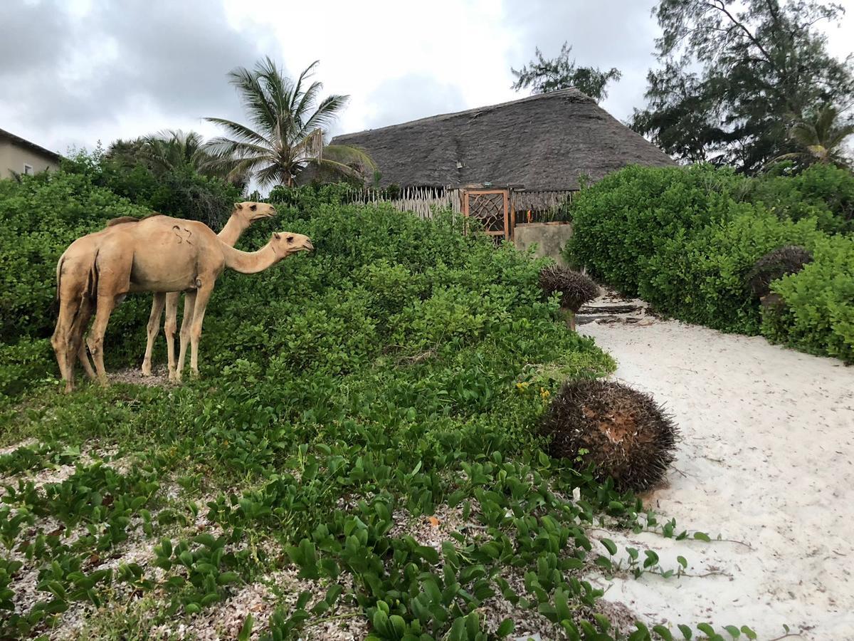 Sunset Beach Resort Watamu Eksteriør billede